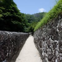 岡山のニュルブルクリンクを探しに行ったけど…