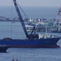 【拡散願います】【補正】大浦湾は、土曜日でもガンガン動いていた（20250531－①）