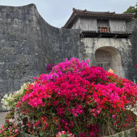 沖縄旅行