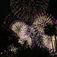 今夜はネカフェから帰る