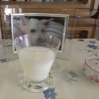 お引越ししてから３ヶ月