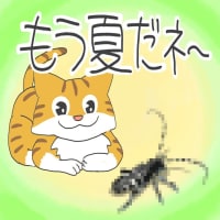 「もう夏だね〜」