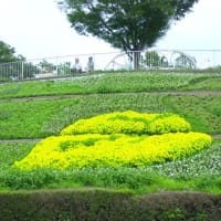 相模原公園散策