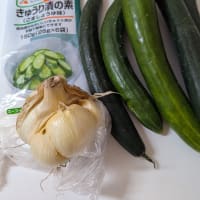 初めてのハリとお灸