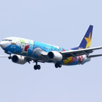 スカイマーク 「 ボーイング B737-800＂ピカチュウジェット BC2＂ 」（ JA73NG ）2023年6月 浮島町公園 - 写・撃・演・習・場