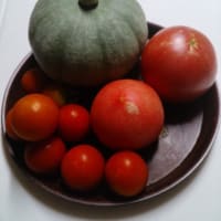 A学園OB会学習及び役員会＆今日の野菜の収穫１