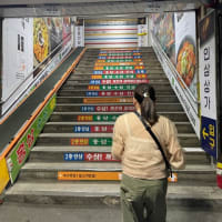 6月韓国女子旅② 3泊4日