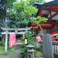 朝の散歩　板橋熊野神社に茅の輪　　　20