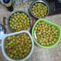 梅しごとの季節です