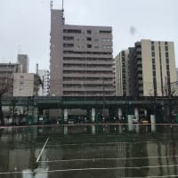 祝卒業！雪の中卒業祝いランチ