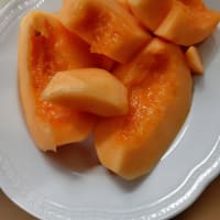 長崎の小値賀島のみじょっ子メロン