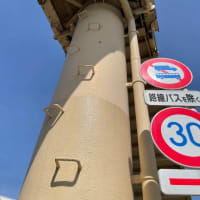 雨予報で予定変更