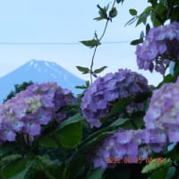満月と今朝の富士