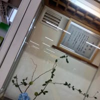 晴れ