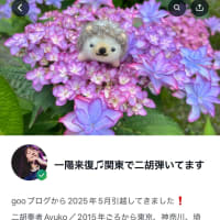 Amebaブログに引っ越し完了しました❗️
