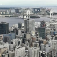 久しぶりの東京