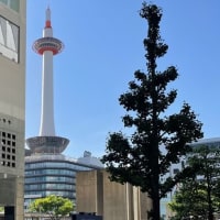誰か教えて！！！！