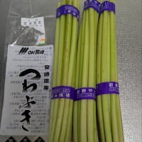 春のお届け～つわぶき他