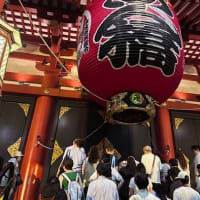 ほおずき市に行くの巻