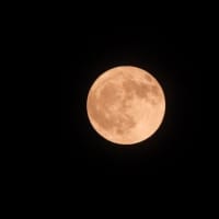 ５月の満月 ”フラワームーン”、夕焼け、りんご伐採木焼却