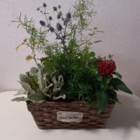 いけ花(公民館)
