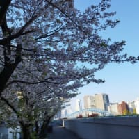 今日いち-2025年4月10日