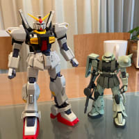 素組完了