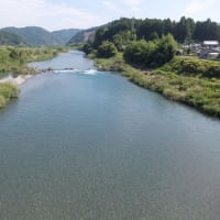 本日の海部川