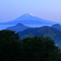 富士山　やはり　「  東部№1 つつじ彩の姿　見ておくべし　」と...  ⇒ 中腹景観... 