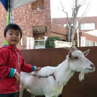 ふれあい動物園
