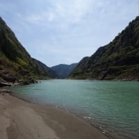 熊野川の濁度がチェック出来る事を知る＾＾