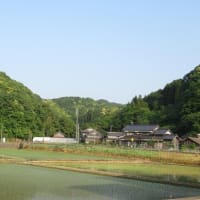 木津温泉（ゑびすや）周辺の自然・環境