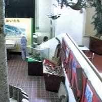 海鳥のサンクチュアリ　天売島と森林浴を楽しむメルヘンの焼尻島　７７回目　羽幌