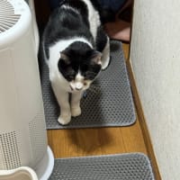 2025/6/16の朝