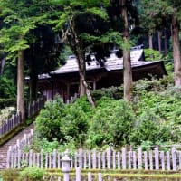 山頂にて-大阪府千早赤阪村：金剛山