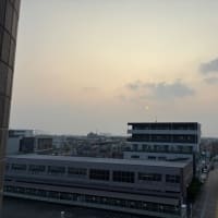 水曜日もカラダがフラフラ。