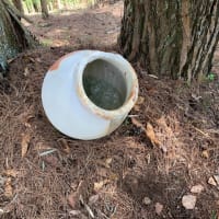 わち山野草の森へ、森の展示室
