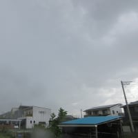 最後のスイカ