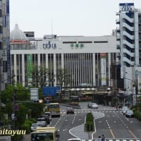 平塚市唯一の旅客駅「平塚駅」を撮る！！