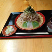 道の駅で昼食を。今回はお蕎麦。