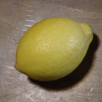 記録、レモンの収穫