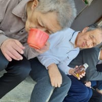 春のドライブ