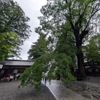 ４０４０仲間と諏訪湖でオフ会
