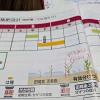 情けなくなる