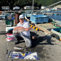 8月１７日　イカダ釣り釣果
