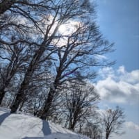 みんながみんな🍎