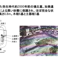 第10回大阪常磐会大学コラボプロジェクト(その3)完