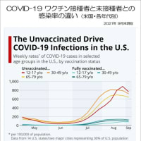 全日本  新型コロナウイルス 治療中および重症患者数など、一週間毎の増加数動向  (11月19日現在)