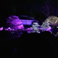 エクストリーム和服～京都伝統産業の日～
