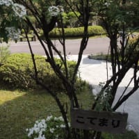 生野銀山　2016.5.5　「272」